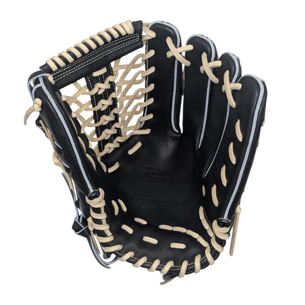 Zett Prostatus Special Edition BPGPRO 13 inch outfield glove palm view